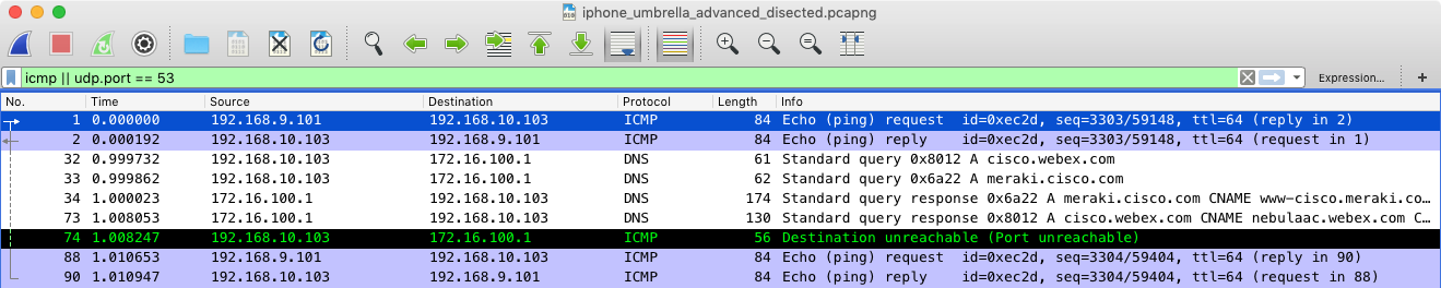 iphone_icmp_dns_pcap.png