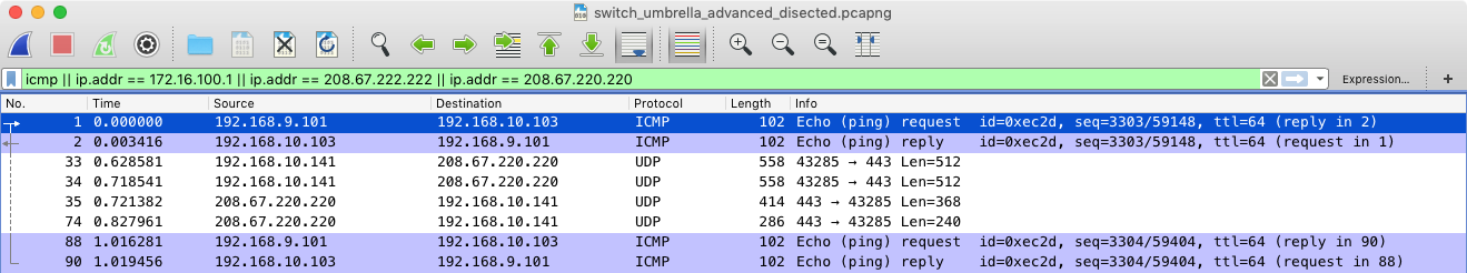switch_icmp_dns_pcap.png
